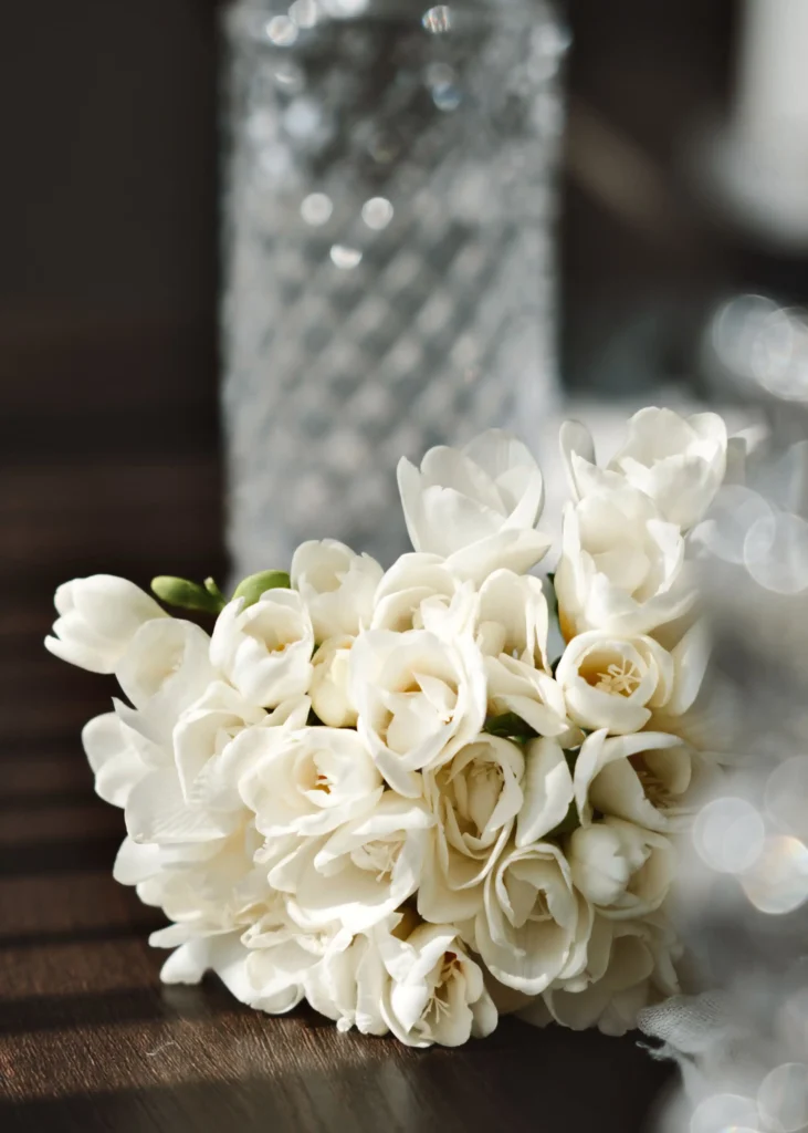 White Freesia