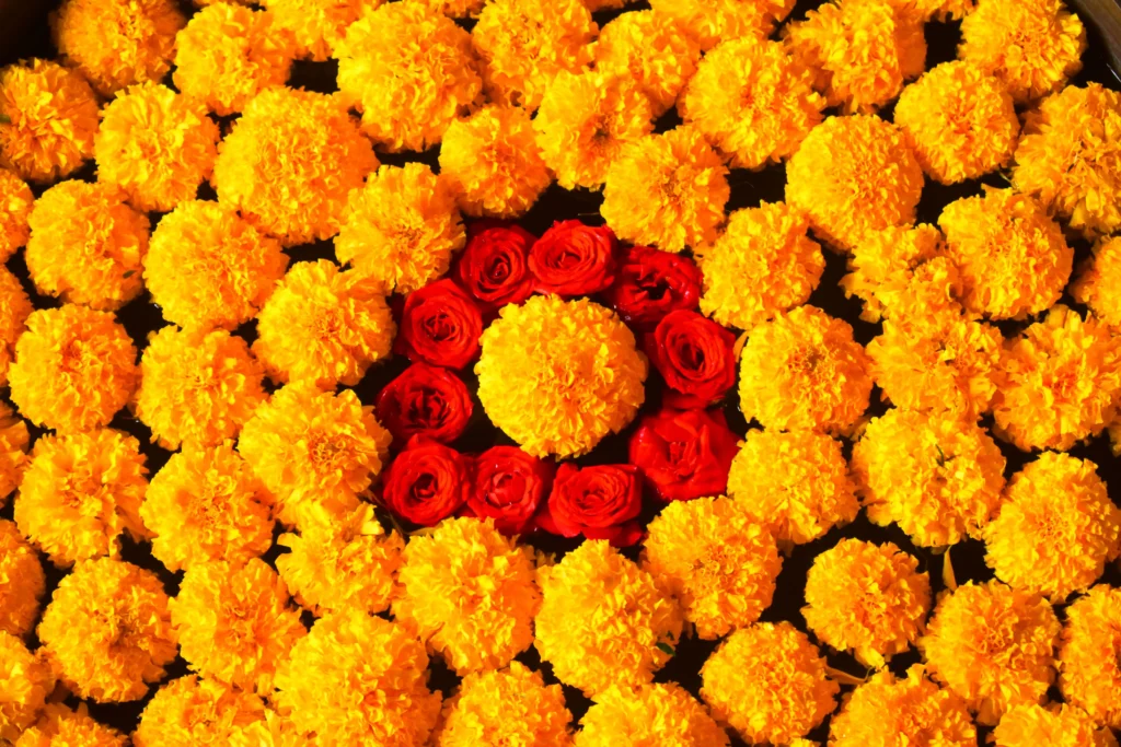 Yellow Marigold