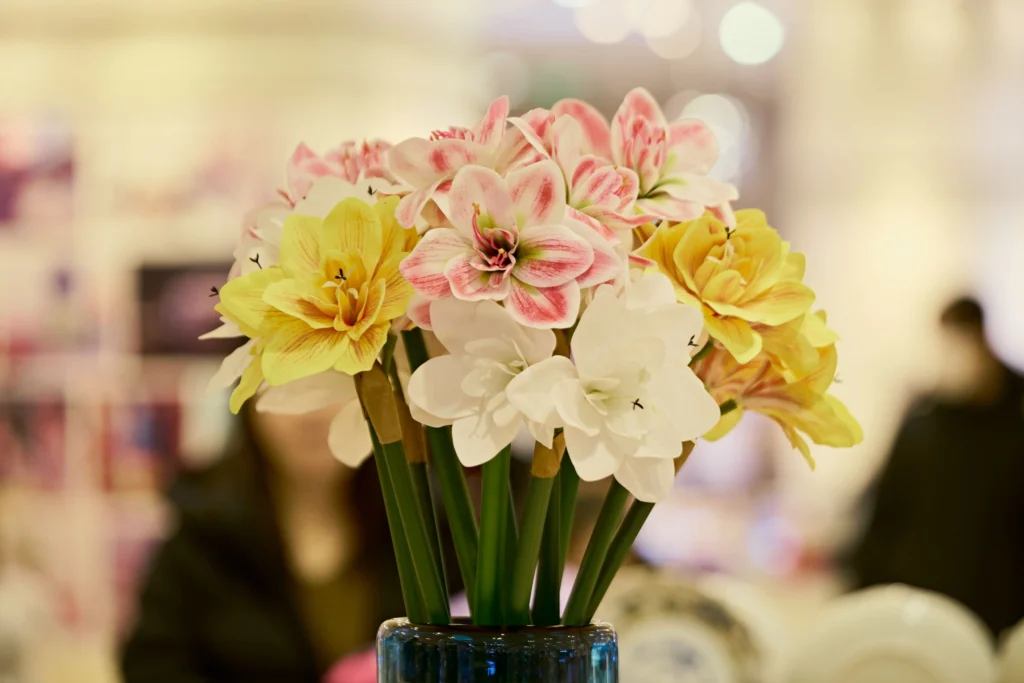 Yellow Amaryllis