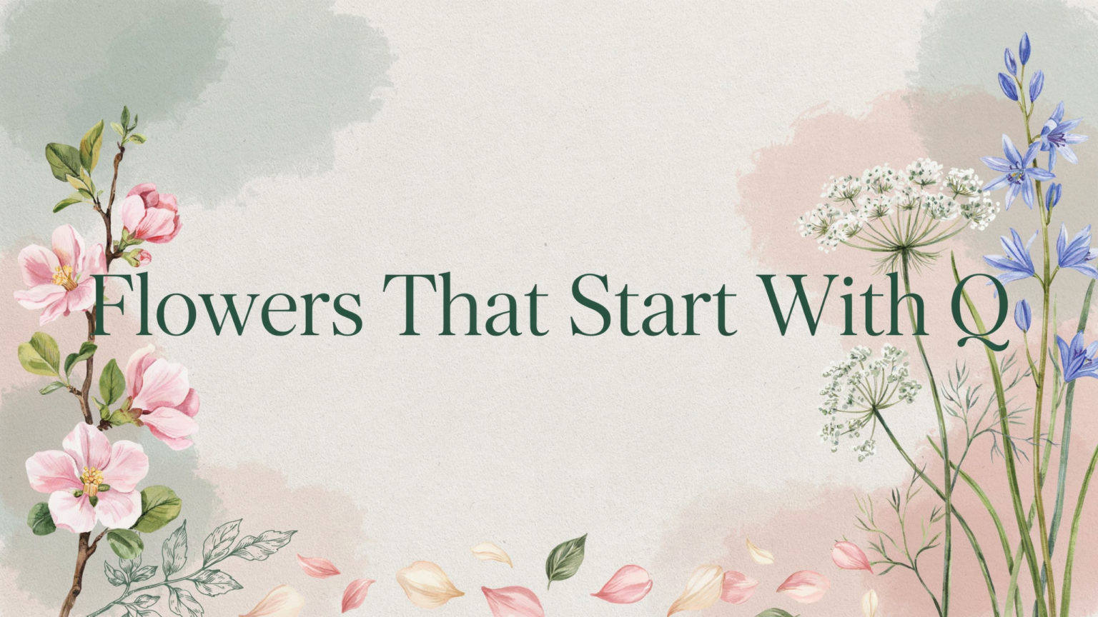 Flowers That Start With Q
