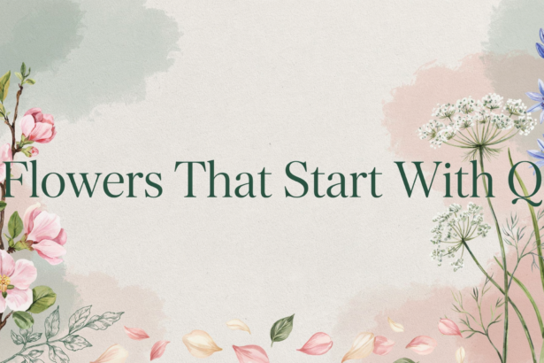 Flowers That Start With Q