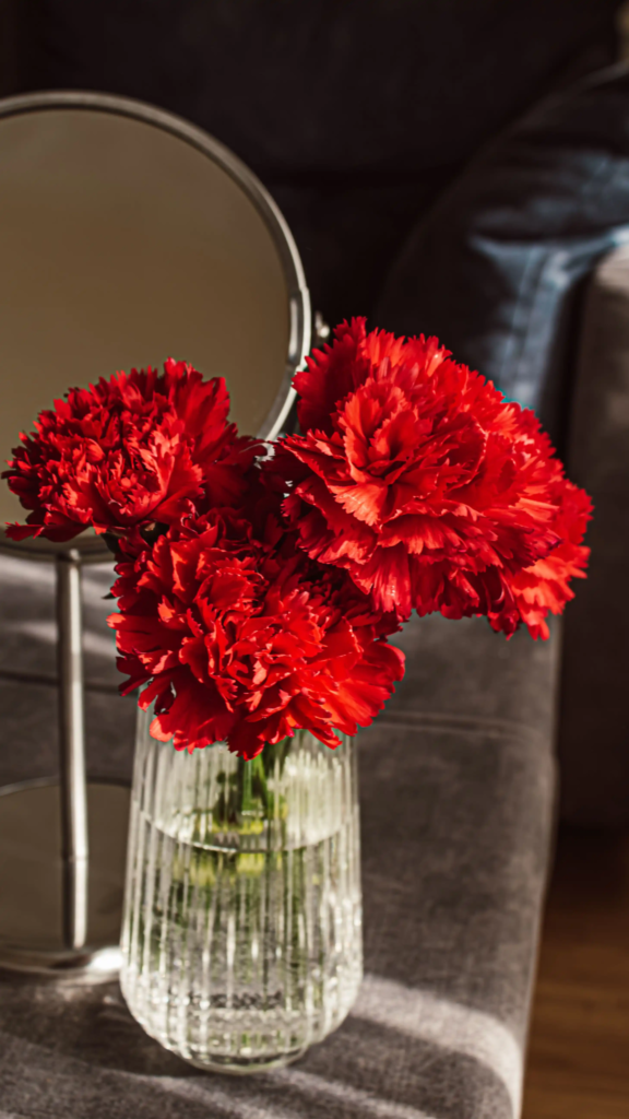 Red Carnation