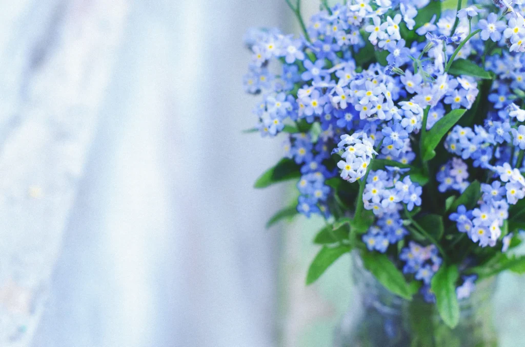 Forget-Me-Not