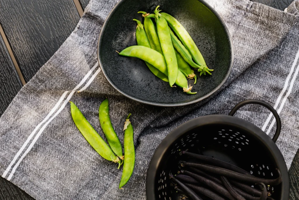 Black Coral Pea