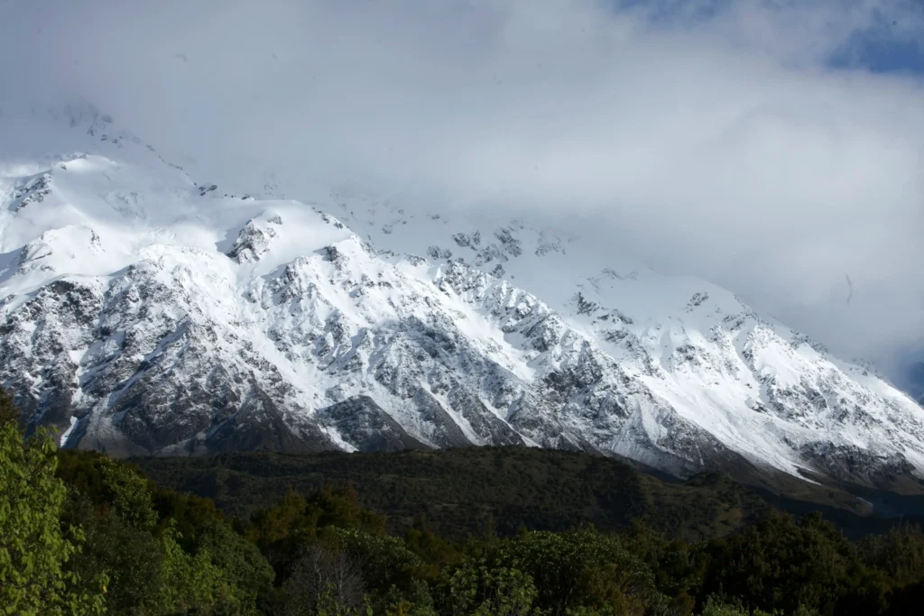 Snow-on-the-Mountain