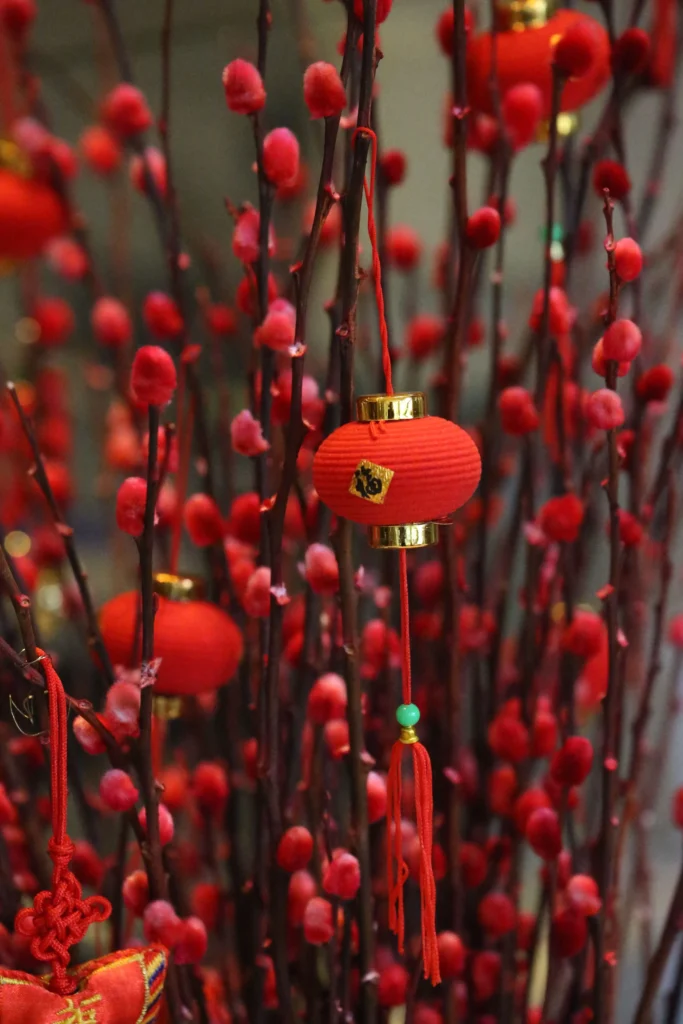Chinese Lantern